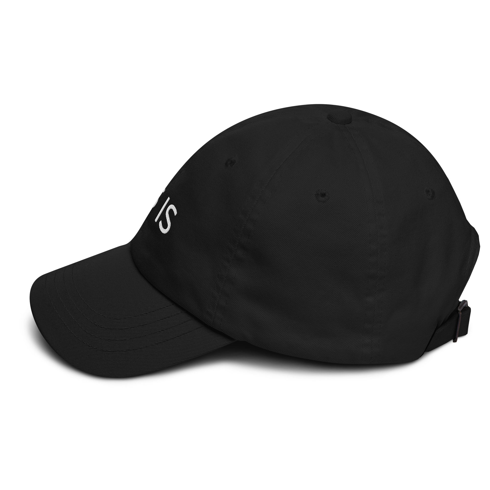 AS IS | Baseball Hat